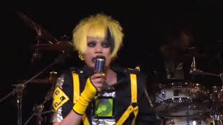 Miniatura del video "メトロノーム Metronome - MATSURI LIVE 19th Anniversary (2nd version)"