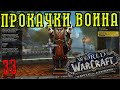 World of Warcraft: BFA - Прокачка Воина 33