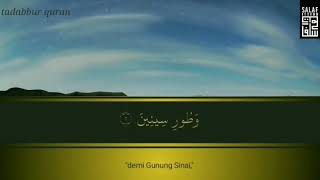 Surah At -Tin Abu Usamah