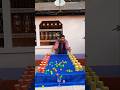 Amazing ball role funny family challenge ✅️#shorts #game