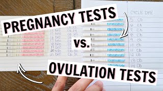 PREGNANCY TEST LINE PROGRESSION VS. OVULATION TEST LINE PROGRESSION | TTC