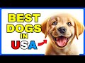 &quot;Discover America&#39;s Favorite Dogs 🐾 | Top 20 Breeds with Basic ESL!&quot;