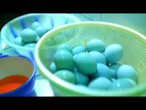 Video: Cara Menyuntik Kuning Telur