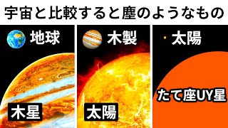 真の宇宙の大きさを考えると人間のサイズはどれくらい？