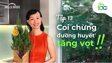 Biến Động Đường Huyết Xảy Ra Khi Nào? (Góc Nhìn Khoa Học) | Sống 100 Tuổi EP13