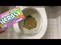 Will it Flush? - Rainbow Nerds Candy