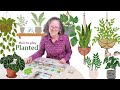Planted: A Board Game Christians Can Play
