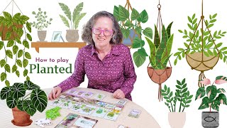 Planted:  A Board Game Christians Can Play