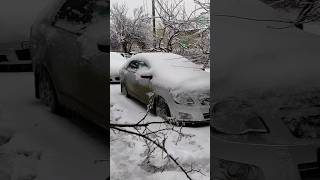 Ледяной кошмар в Ростовской области