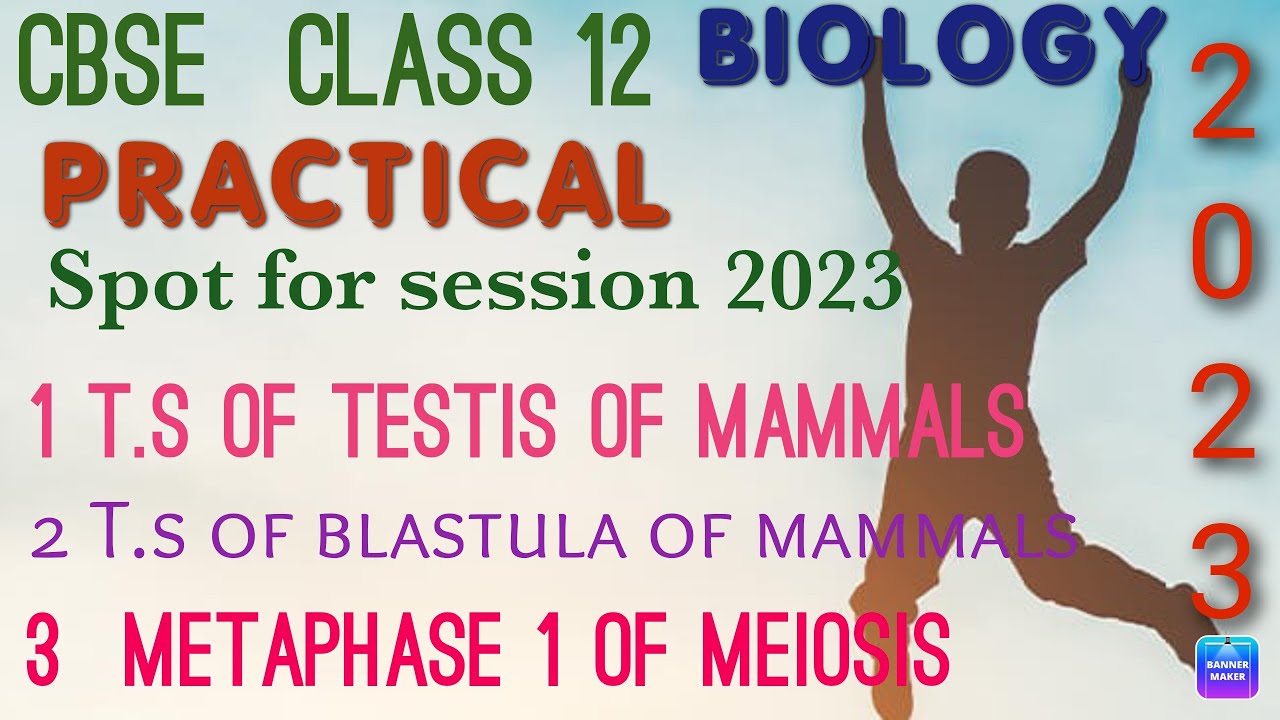 class-12-biology-practical-how-to-do-spotting-cbse-youtube