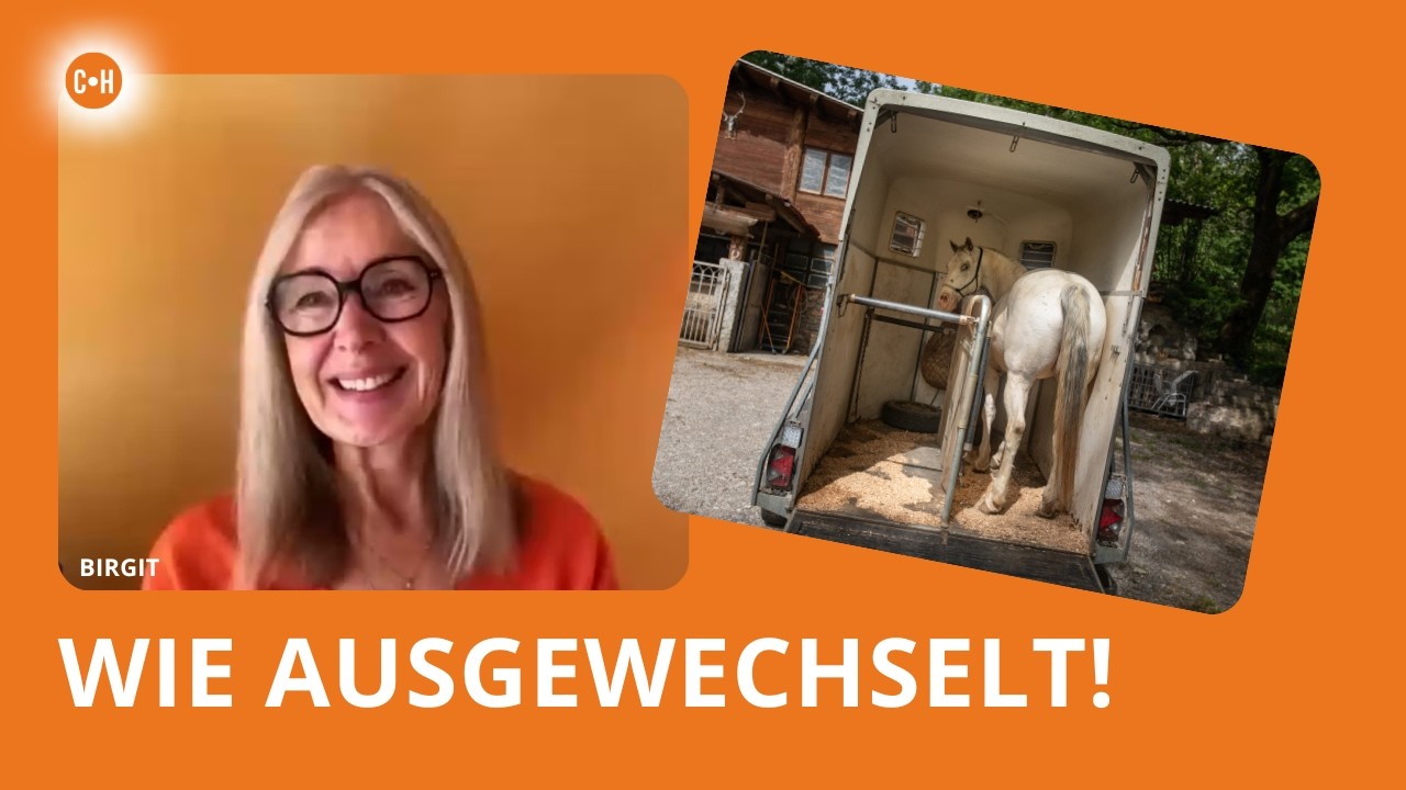 Ich wollte mein Pferd verkaufen – heute vertraut er mir blind