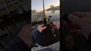 Found another fishing pole #fishing #fishingvideo #fish #fishingrod