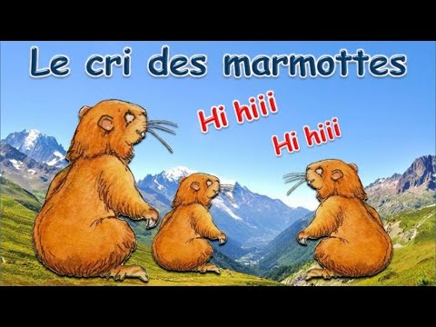 Anny Versini, Jean-Marc