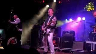 ▲Blue Cats - Who stole my blue suede shoes - Psychobilly Meeting 2014
