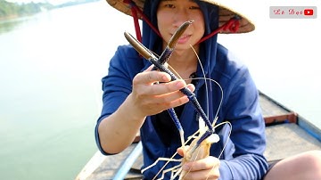 Lặng tôm càng xanh ở sông đồng Nai toàn Tôm càng xanh khủng