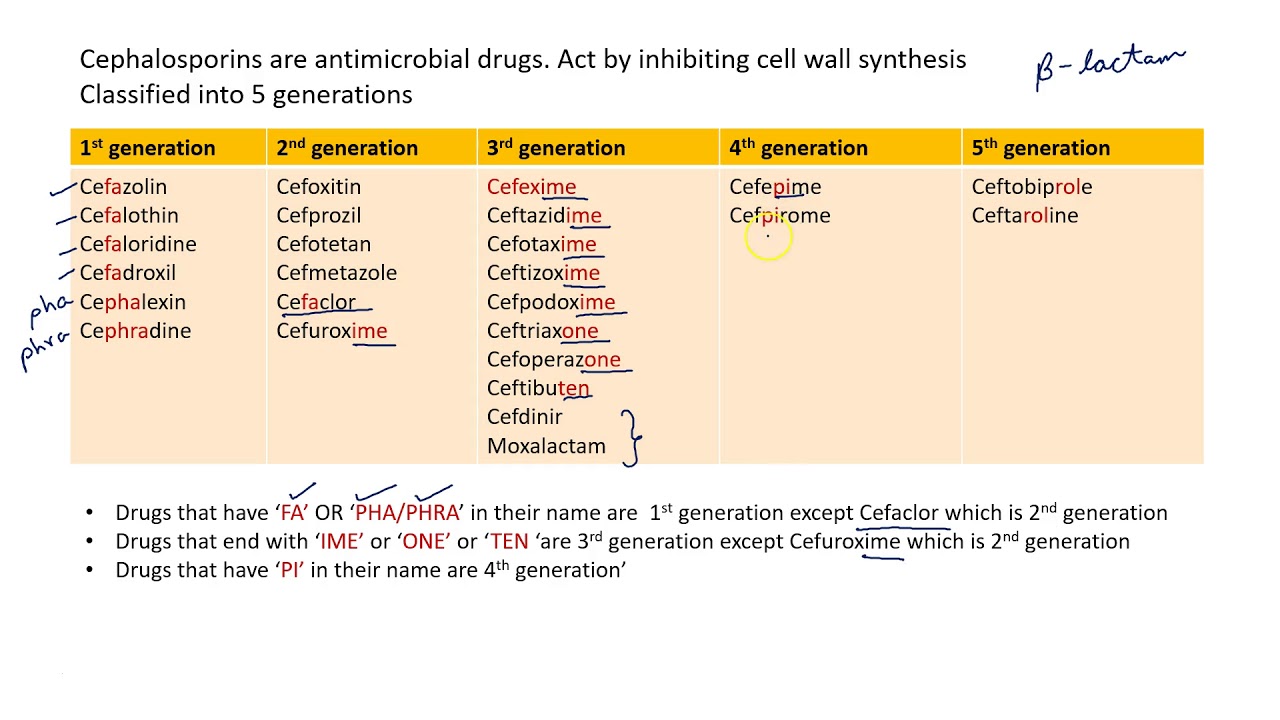 Mnemonic For Classification System