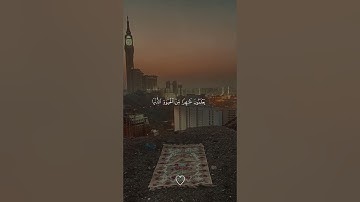 ماهر المعيقلي تلاوة خاشعة ومؤثرة #اكسبلور #المصحف #دويتو #الرحمن #لايك #تيك_توك #راحة_نفسية