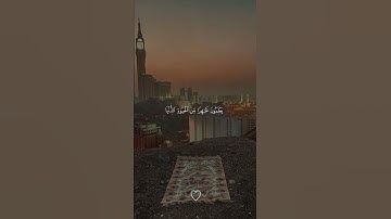 ماهر المعيقلي تلاوة خاشعة ومؤثرة #اكسبلور #المصحف #دويتو #الرحمن #لايك #تيك_توك #راحة_نفسية