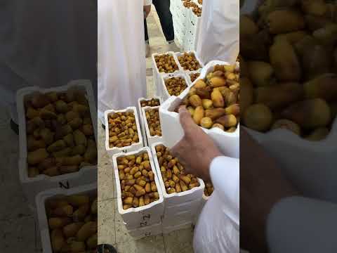بيع فلين البرني بريالين ١٤٤٤ه