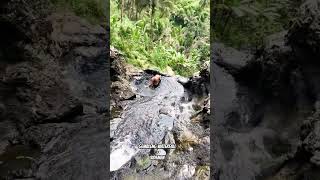 Gembleng Waterfall, Lukisan indah alam #Sidemen 🌴🕸💦 #DeluxshionistTravel