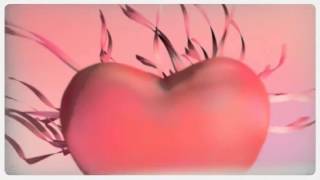 合肥工业大学花絮视频 HFUT