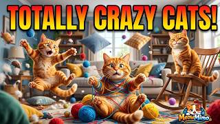 Funny Orange Cats Being Totally Crazy