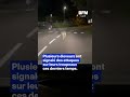 Un loup filmé en pleine ville au milieu de la nuit près de Lyon