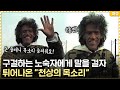 구걸하는 노숙자에게 말을 걸자 튀어나온 "천상의 목소리"