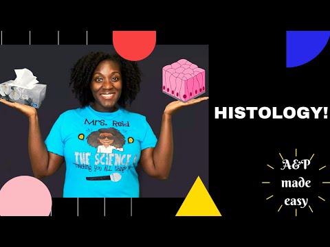 Histology! Learn with me!