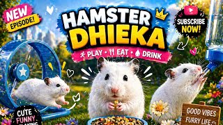 Hamster Adventure Time: Climbing, Running & Exploring 🌟