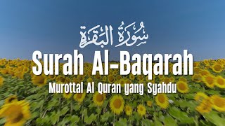 Download Lagu Surah Al Baqarah سورة البقرة  Dengan Suara Indah Membuat Hati Tenang MP3
