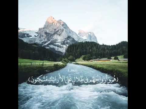 بعيدا عن ضجيج العالم ارح سمعگ و قلبگ