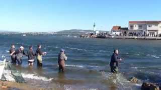 La pêche à la dorade au quartier de la Pointe Courte à Sète, en 2014