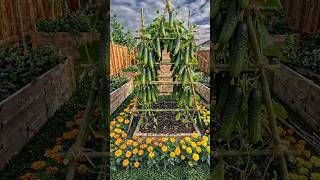 DIY Bamboo Trellis Garden Build in 56 Seconds | Hyperlapse