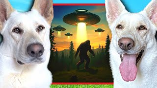 The A&L Fam Discuss Bigfoot, UFOs, and other strange creatures!