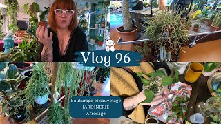 VLOG 96🌿Bouturage et sauvetage en Pon | Arrosage | Un tour dans ma p'tite JARDINERIE et craquages 🤭