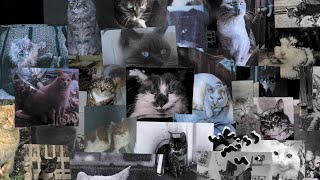 Ezekiel - Lost Found Official Audio