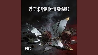 跪下来命运怜惜(烟嗓版)