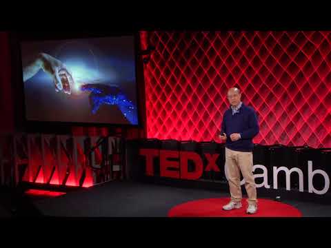 Hacking Humanity | Andrew Lo | TEDxCambridgeSalon