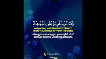 سورة النّحل (والله أَخْرَجَكُم مِّن بُطُونِ أُمَّهَاتِكُمْ)