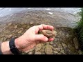 Поиск трилобитов на реке Волхов/Search for trilobites on the Volkhov River