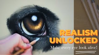 How to draw a dog eye with pastel pencils - easy step by step!