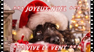Vive Le Vent Joyeux Noel De Nos Petits Chiens Chats Musique Romantique Youtube Accordeon Youtube Vive Le Vent Joyeux Noel De Nos Petits Chiens Chats Musique Romantique Youtube Accordeon Youtube