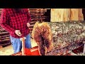 Saw-Milling A Rare Apple Log And Finding Red Gold Under The Bark