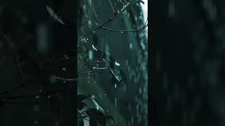Httpsopenspotifycomtrack78rjvqzezuhp73xyuljfissiokslhydpsrellutusd0dg