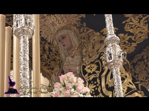 Primitiva Hermandad Sacramental y Reales Cofradías Fusionadas de Nuestro Padre Jesús de Azotes y Columna, Santísimo Cristo de la Exaltación, Santísimo Cristo de Ánimas de Ciegos, María Santísima de Lágrimas y Favores, e Ilustre Archicofradía de la Santa Vera Cruz y Sangre, Nuestra Señora del Mayor Dolor y San Juan Evangelista