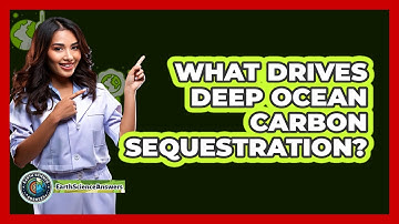 What Drives Deep Ocean Carbon Sequestration?