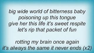 Regurgitator - Happiness Lyrics