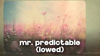 Avery Anna - Mr.  Predictable (slowed) (lyrics)