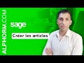 Formation sage  gestion commerciale crer les articles  vido tuto